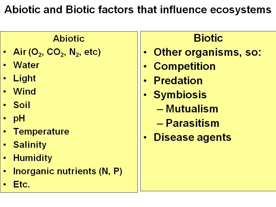 factors that allow organisms to survive in the abyssal plains